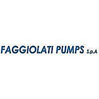 FAGGIOLATI PUMPS